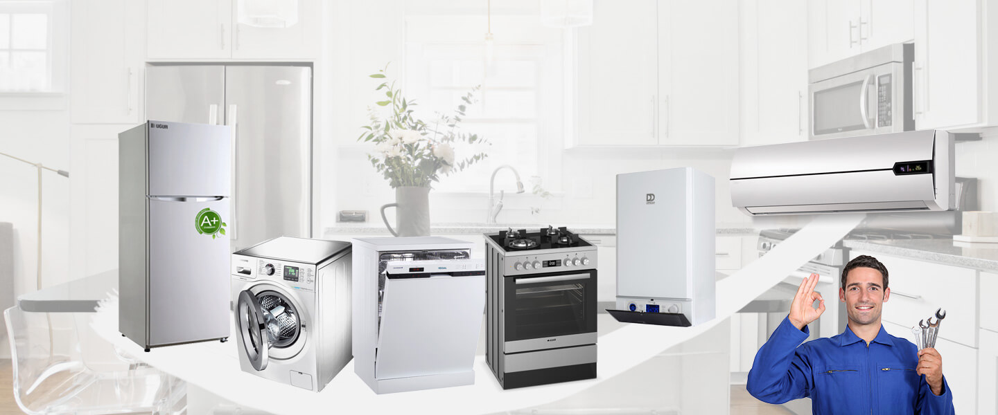 Delice Bosch Servisi